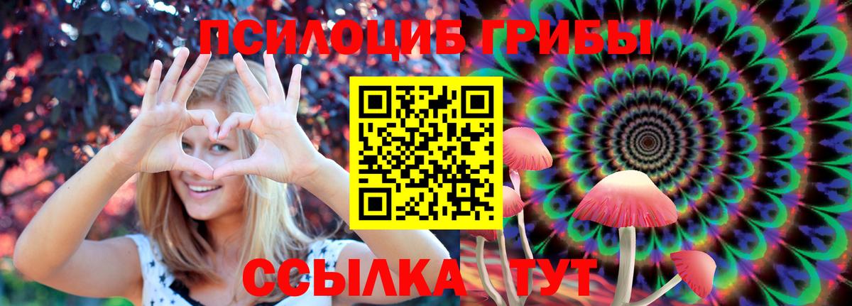 Волжск  цена   Вход с VPN  Галлюциногенные грибы Cubensis 